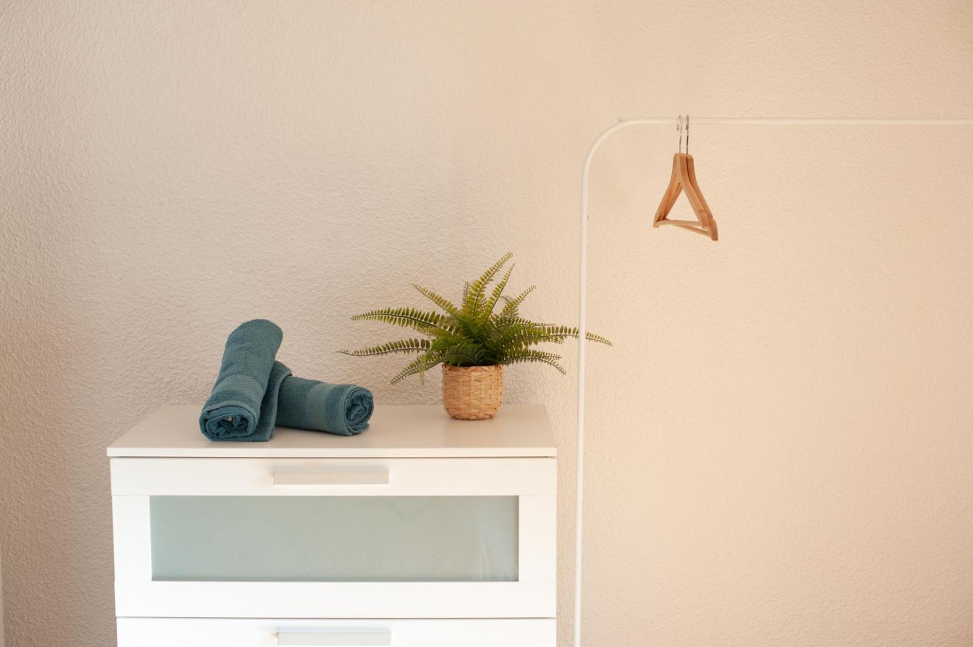 קרקסון Appartement Chaleureux Au Pied De La Cite Avec Parking מראה חיצוני תמונה